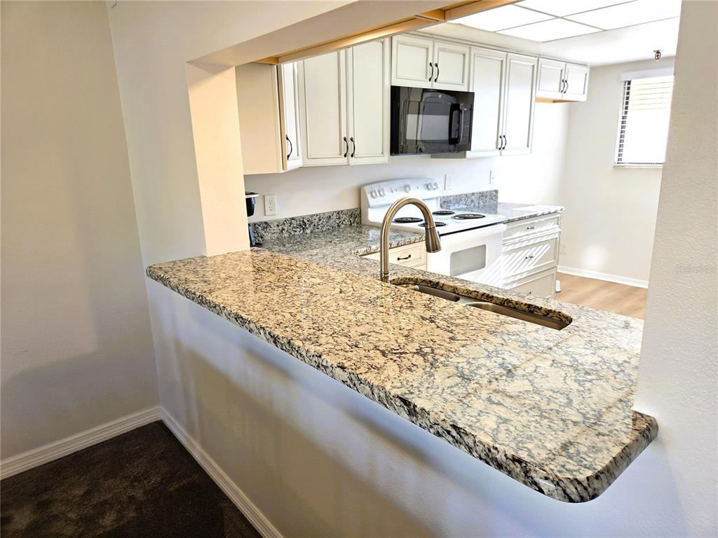 401 150th Avenue, Unit 223 Madeira Beach, FL 33708 - Photo 7 of 50