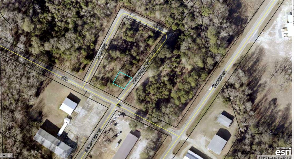 0 Meadowbrook Street Vidalia, GA 30474 - Photo 5 of 5