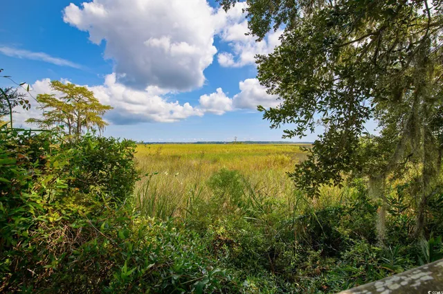 $99,000 | Lot 56 Lagrange Road, Georgetown, SC 29440