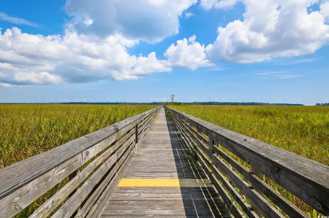 $99,000 | Lot 56 Lagrange Road, Georgetown, SC 29440