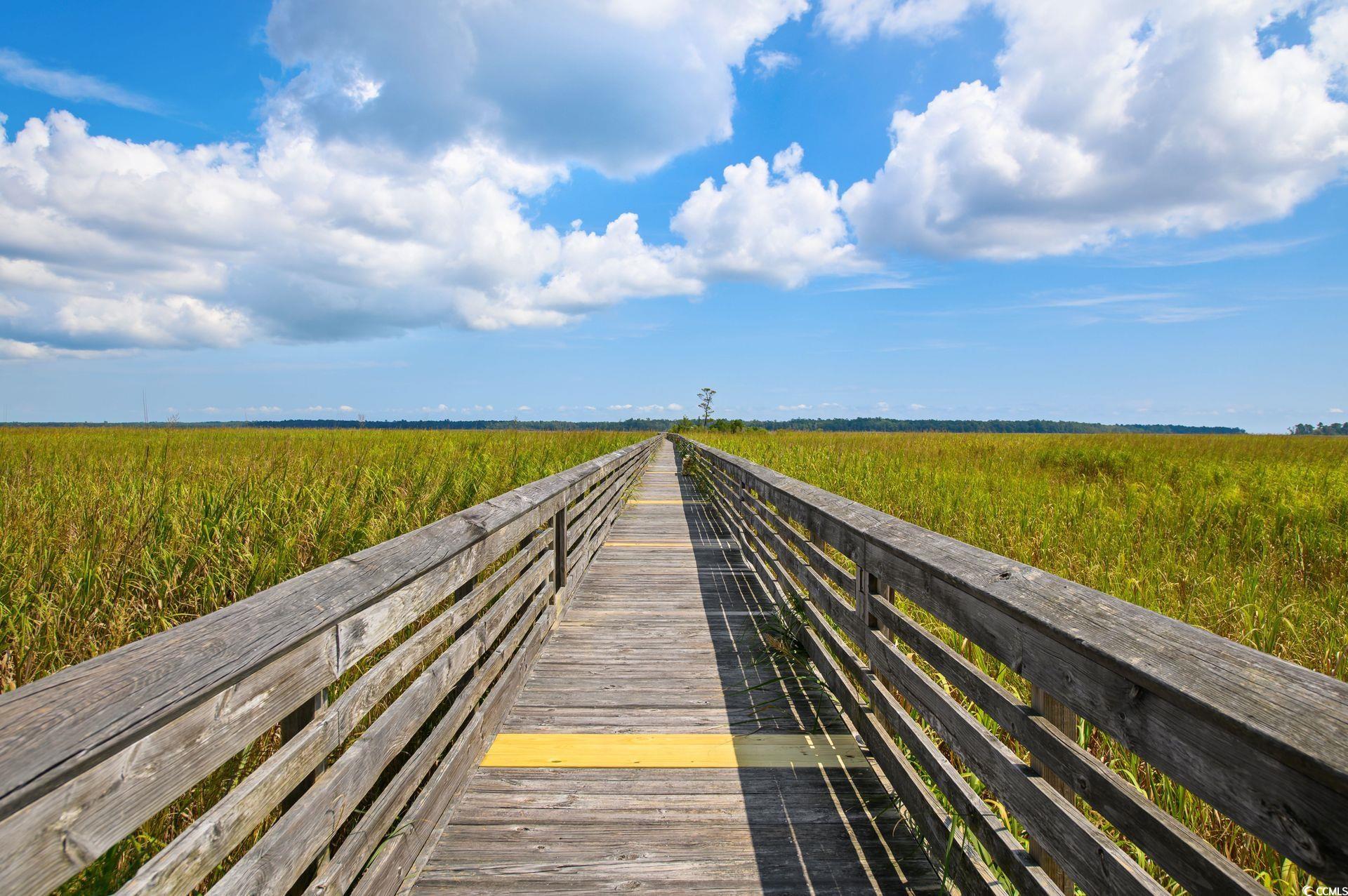 Lot 56 Lagrange Road Georgetown, SC 29440 - Photo 15 of 17