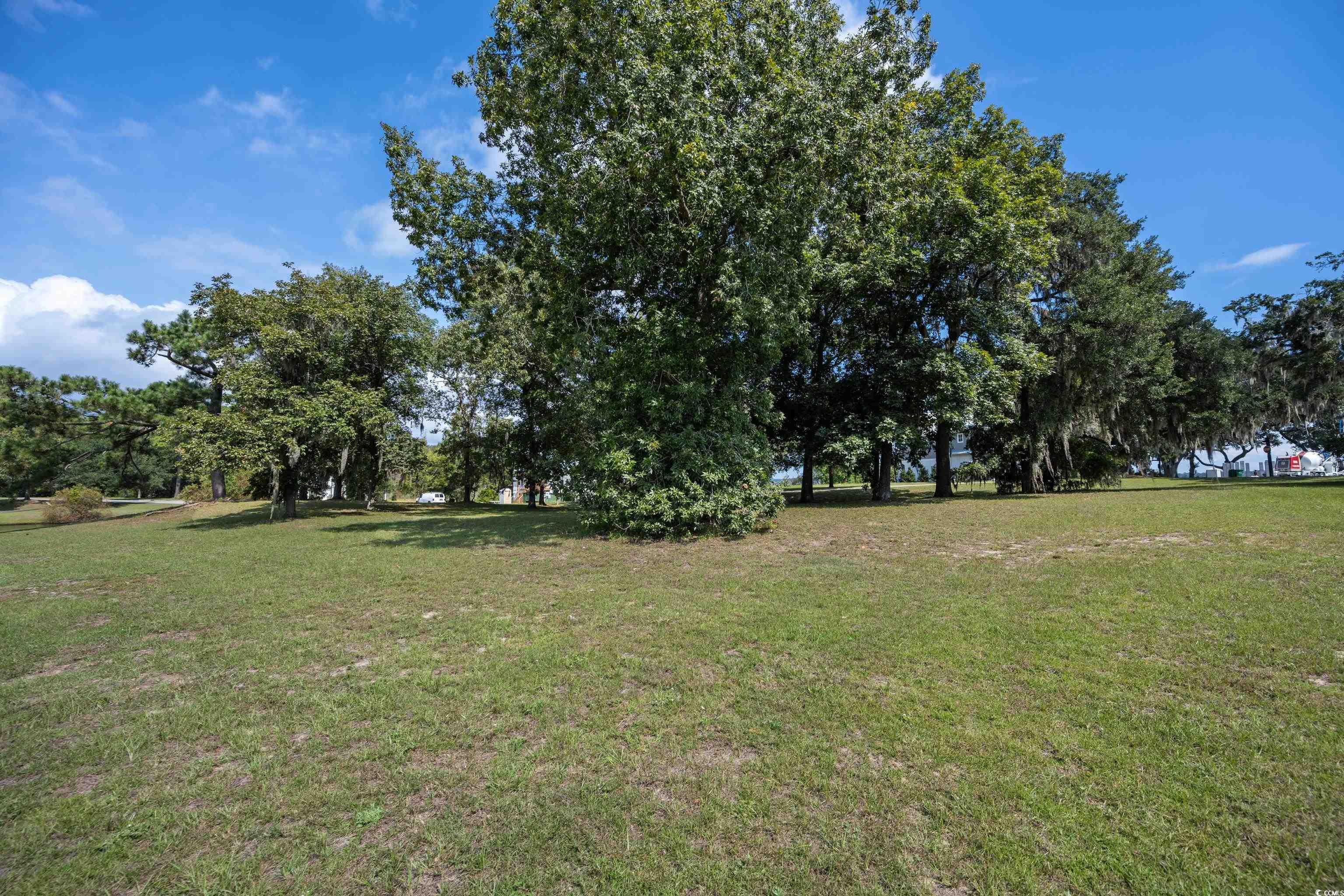 Lot 56 Lagrange Road Georgetown, SC 29440 - Photo 2 of 17