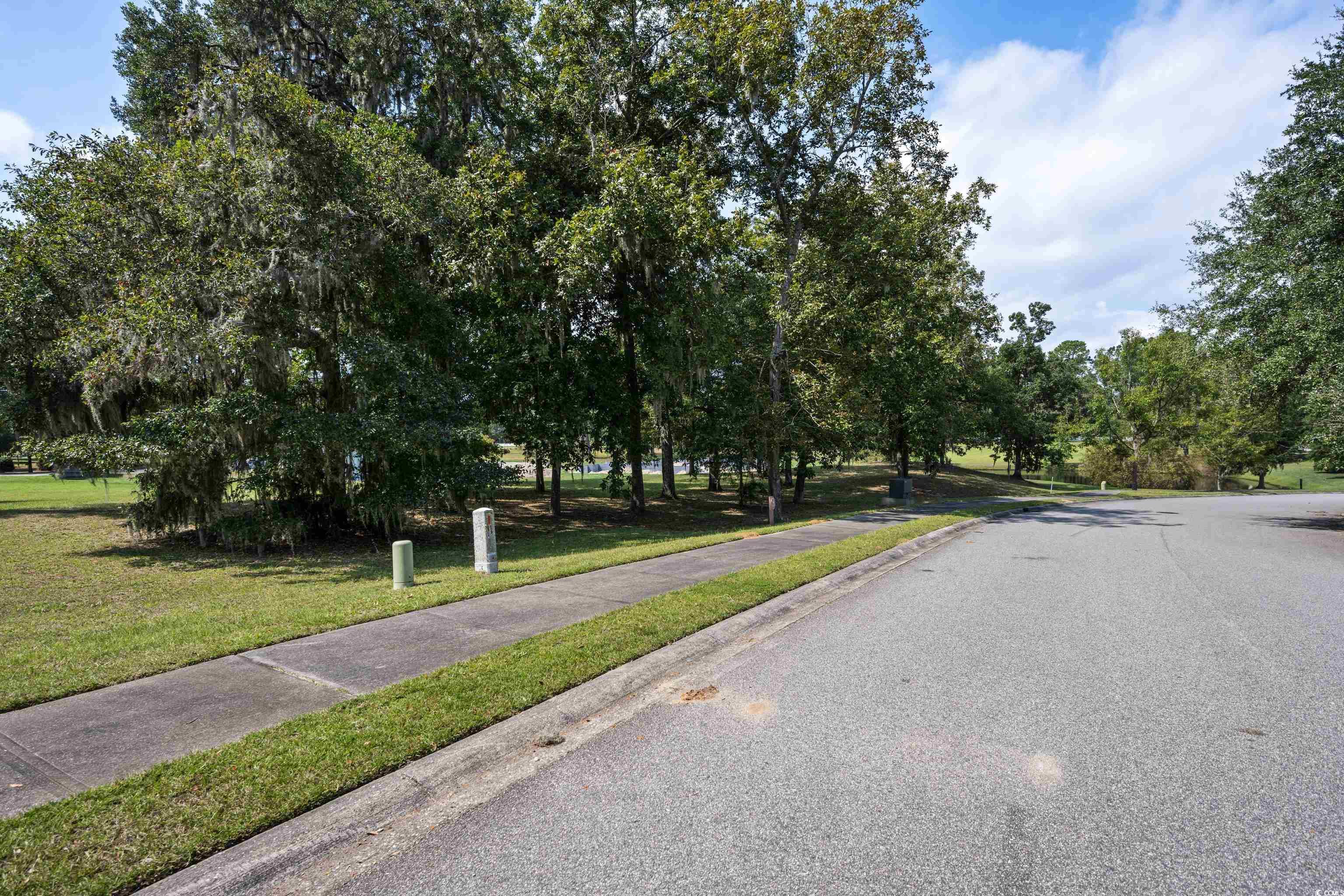 Lot 56 Lagrange Road Georgetown, SC 29440 - Photo 6 of 17