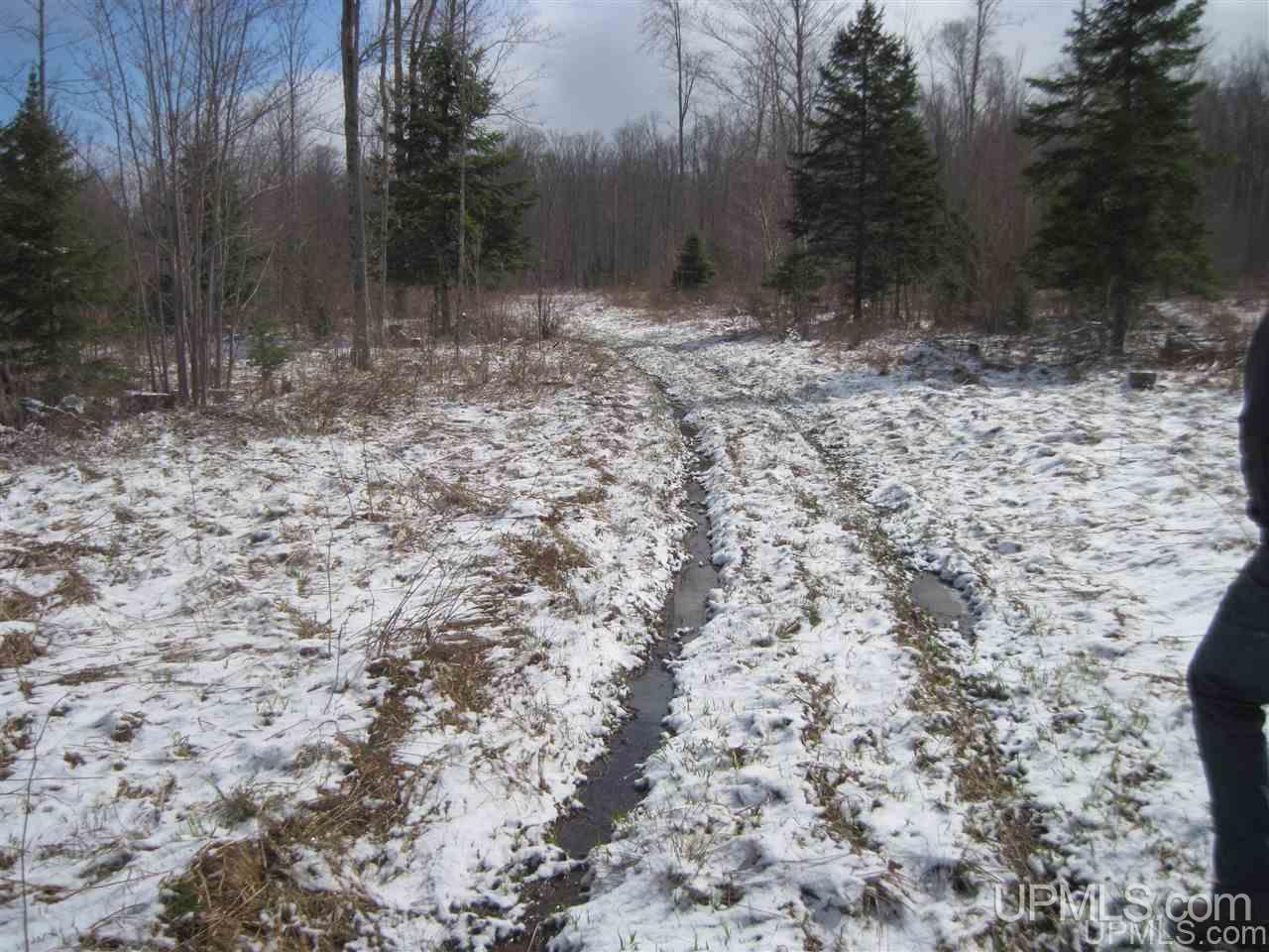 3475 Rd Iron River Iron River, MI 49935 - Photo 4 of 15