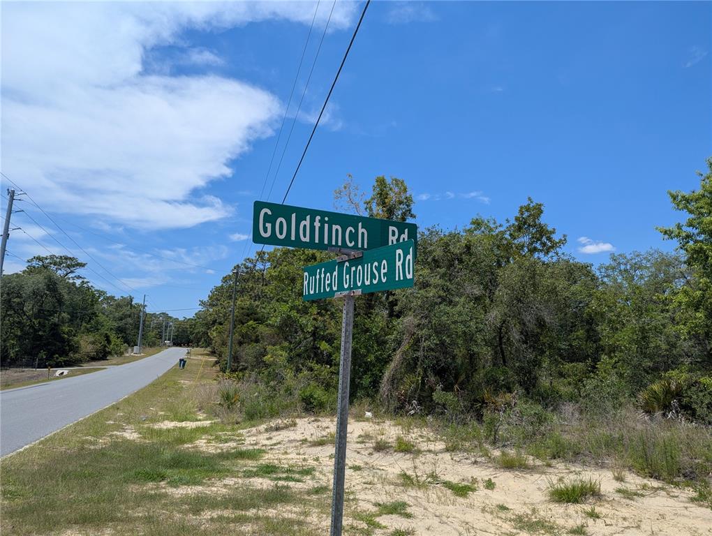 Goldfinch Road Weeki Wachee, FL 34614 - Photo 4 of 10 a sign board with a house in the background