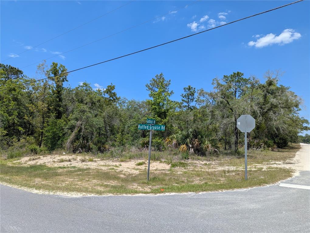Goldfinch Road Weeki Wachee, FL 34614 - Photo 6 of 10 a backyard of a house with table and chairs