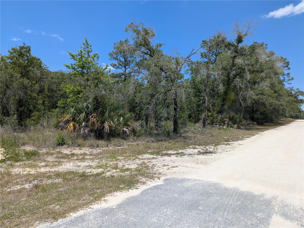Goldfinch Road Weeki Wachee, FL 34614 - Photo 10 of 10 a view of a yard with a tree