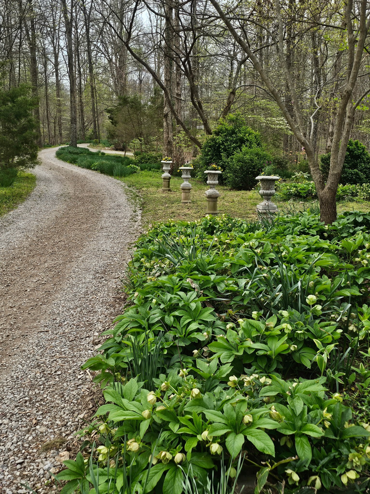 5180 Fire Tower Road Franklin, TN 37064 - Photo 3 of 99 a backyard of a house with a yard and outdoor seating