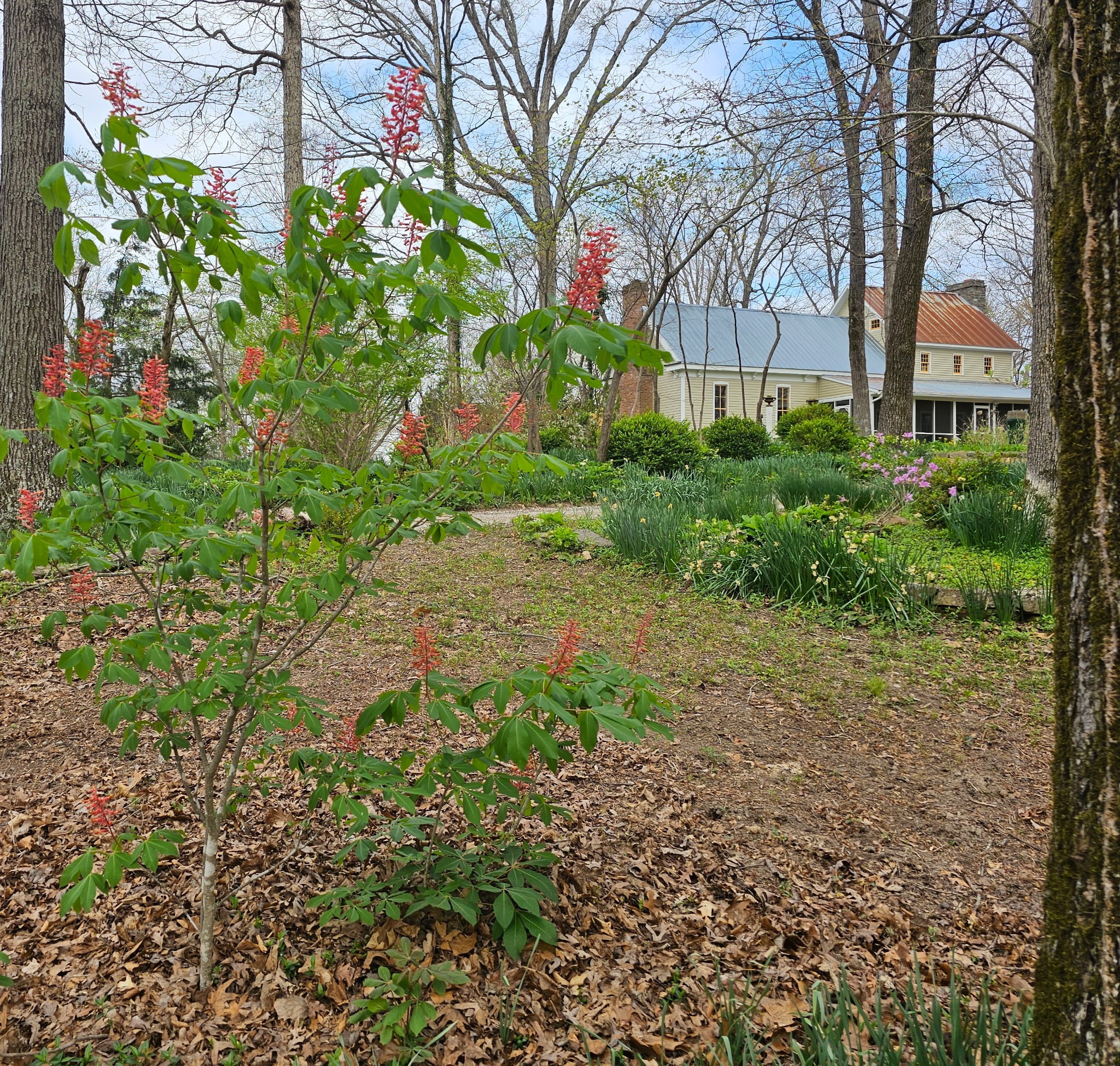 5180 Fire Tower Road Franklin, TN 37064 - Photo 64 of 98