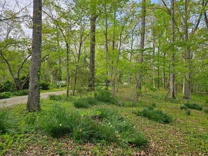 $4,995,000 | 5180 Fire Tower Road, Franklin, TN 37064