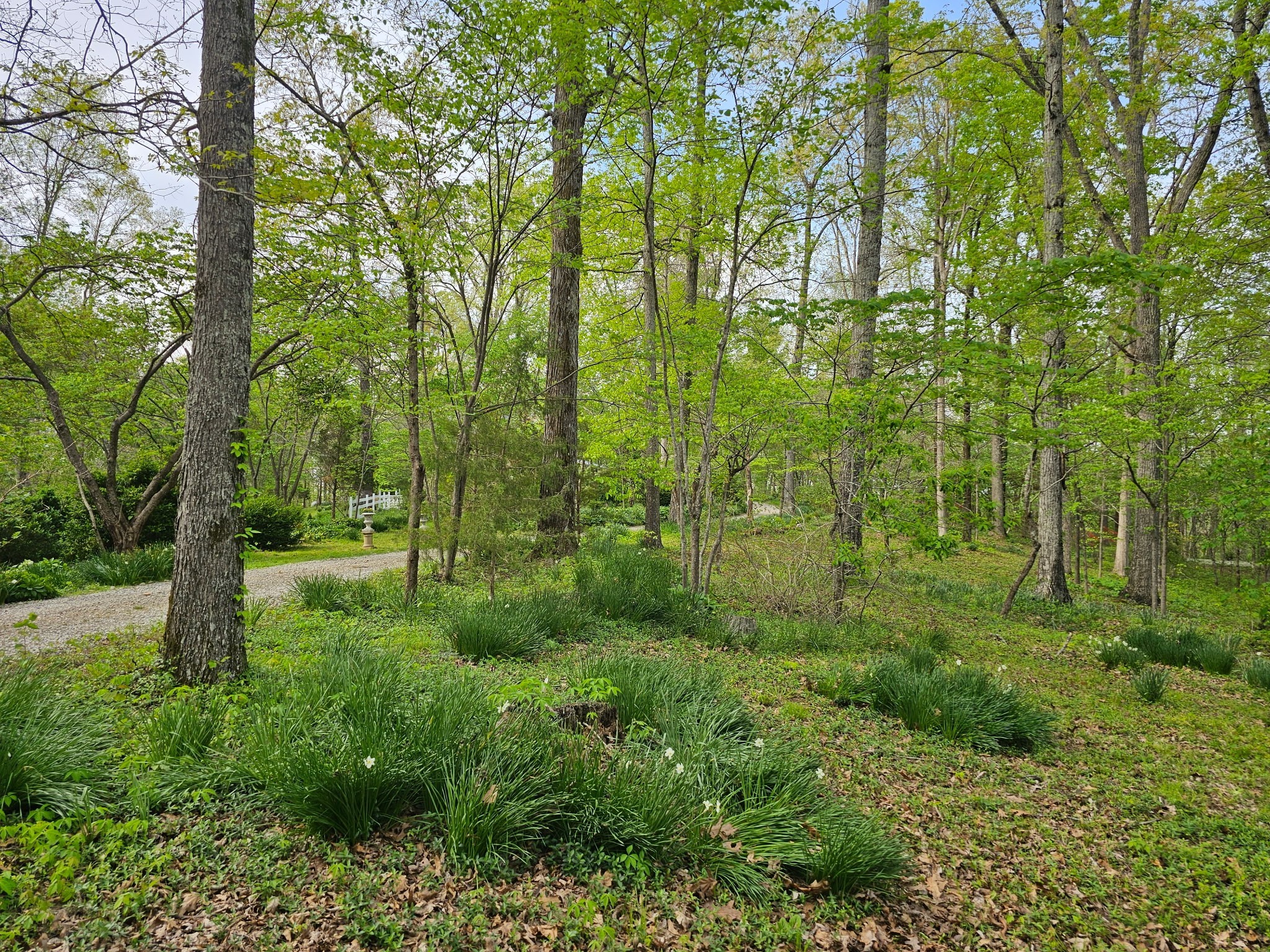 5180 Fire Tower Road Franklin, TN 37064 - Photo 87 of 98