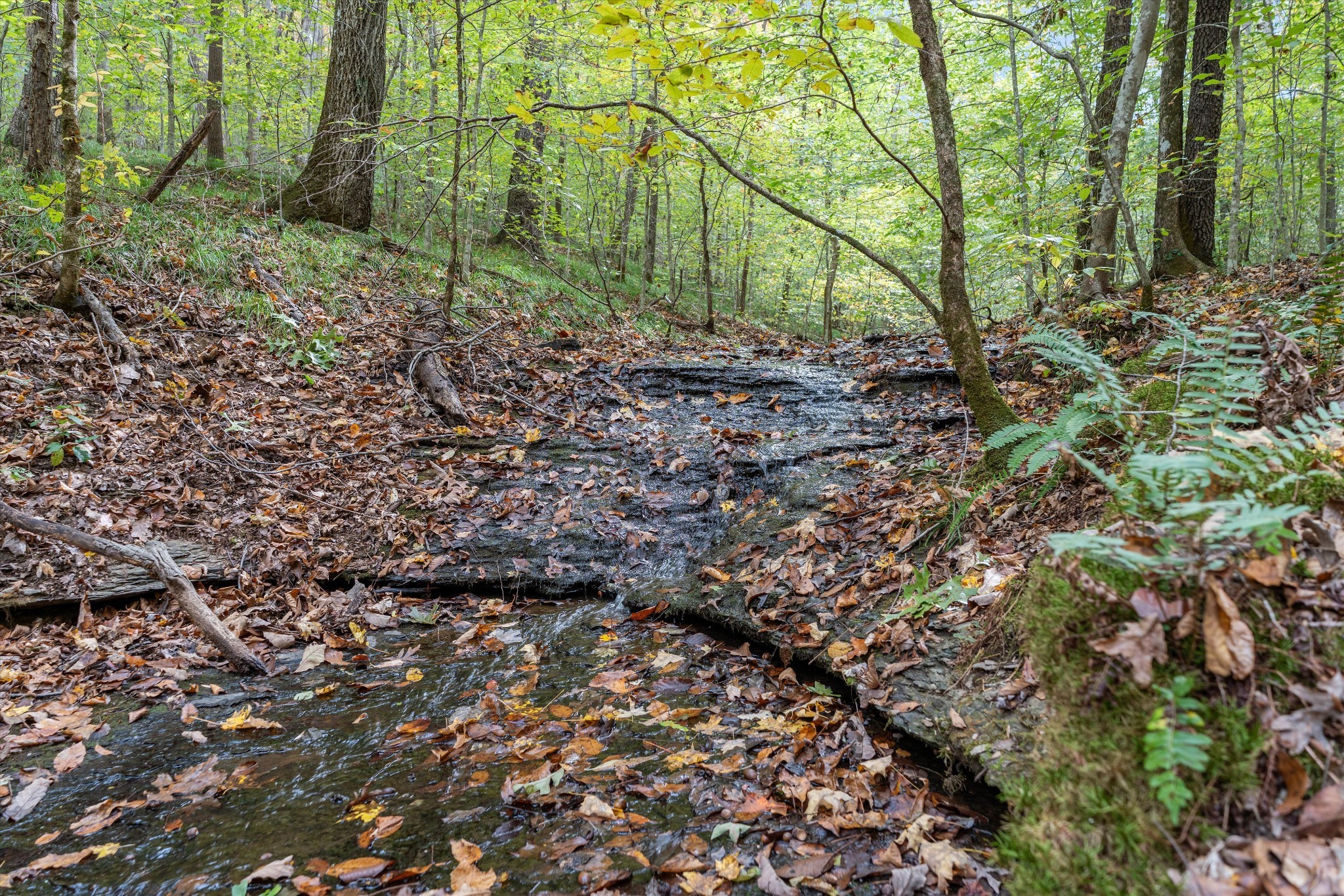 5180 Fire Tower Road Franklin, TN 37064 - Photo 92 of 99