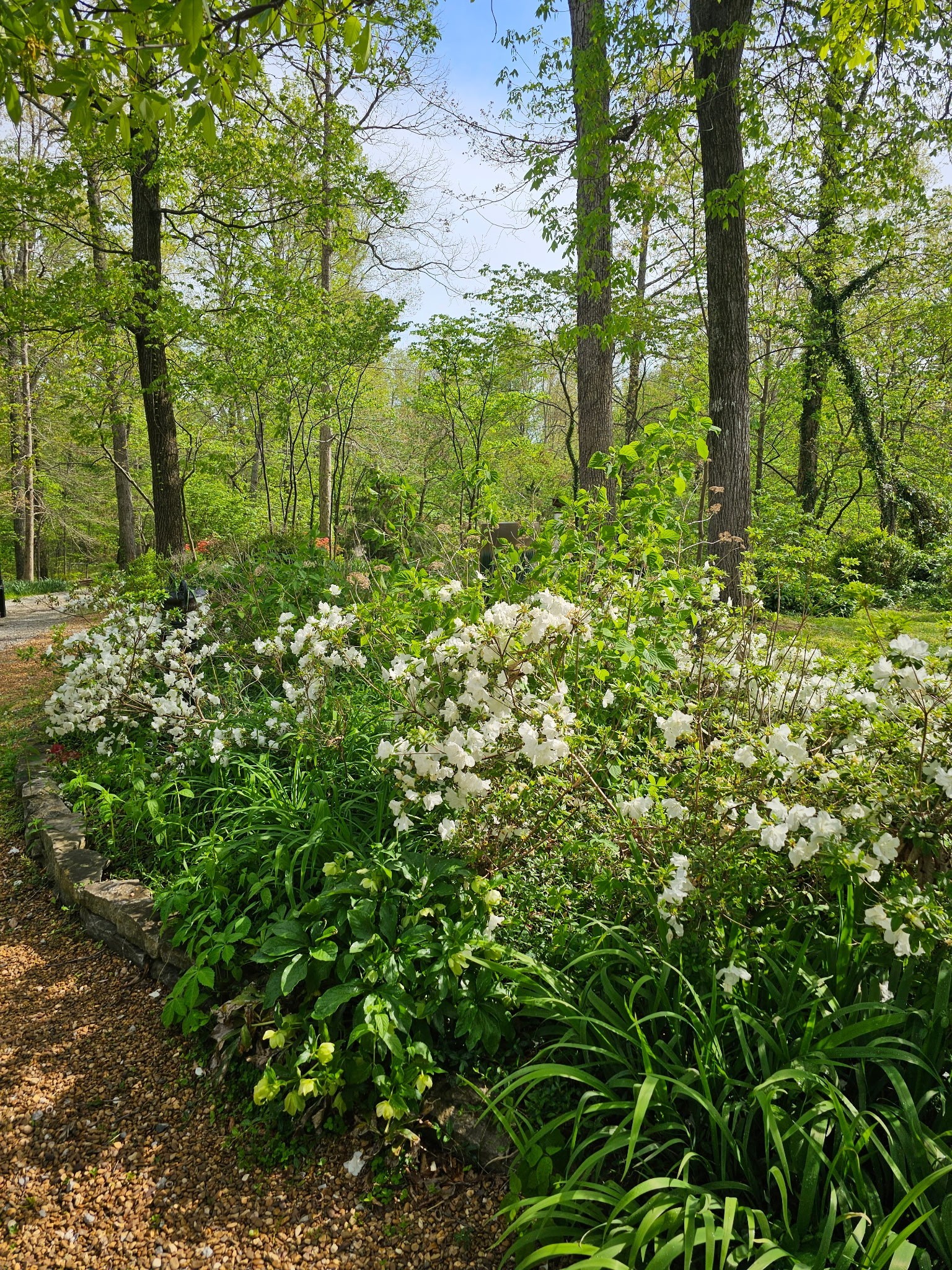 5180 Fire Tower Road Franklin, TN 37064 - Photo 98 of 99 a view of a garden