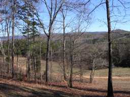 701 Veterans Road Trenton, GA 30752 - Photo 6 of 6 Additional Photo