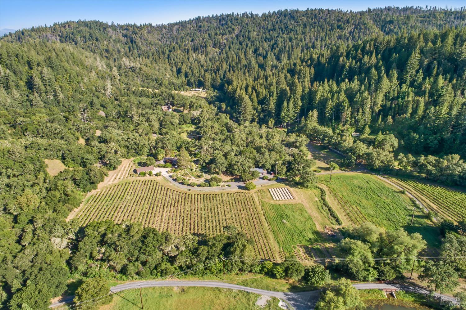 22200 Puccioni Road Healdsburg, CA 95448 - Photo 60 of 63