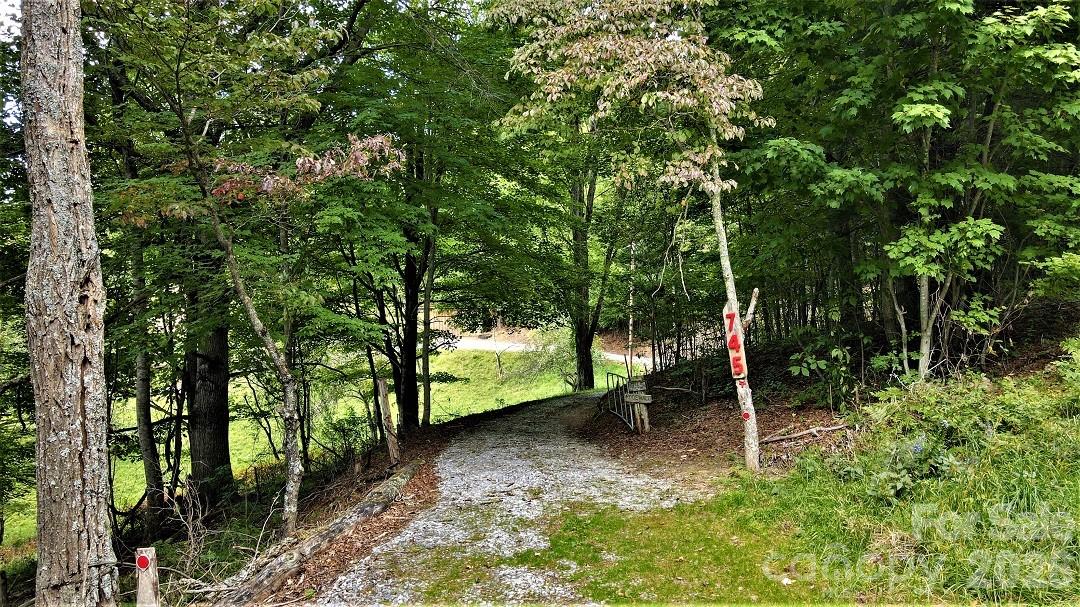 745 Broom Road Tuckasegee, NC 28783 - Photo 10 of 42