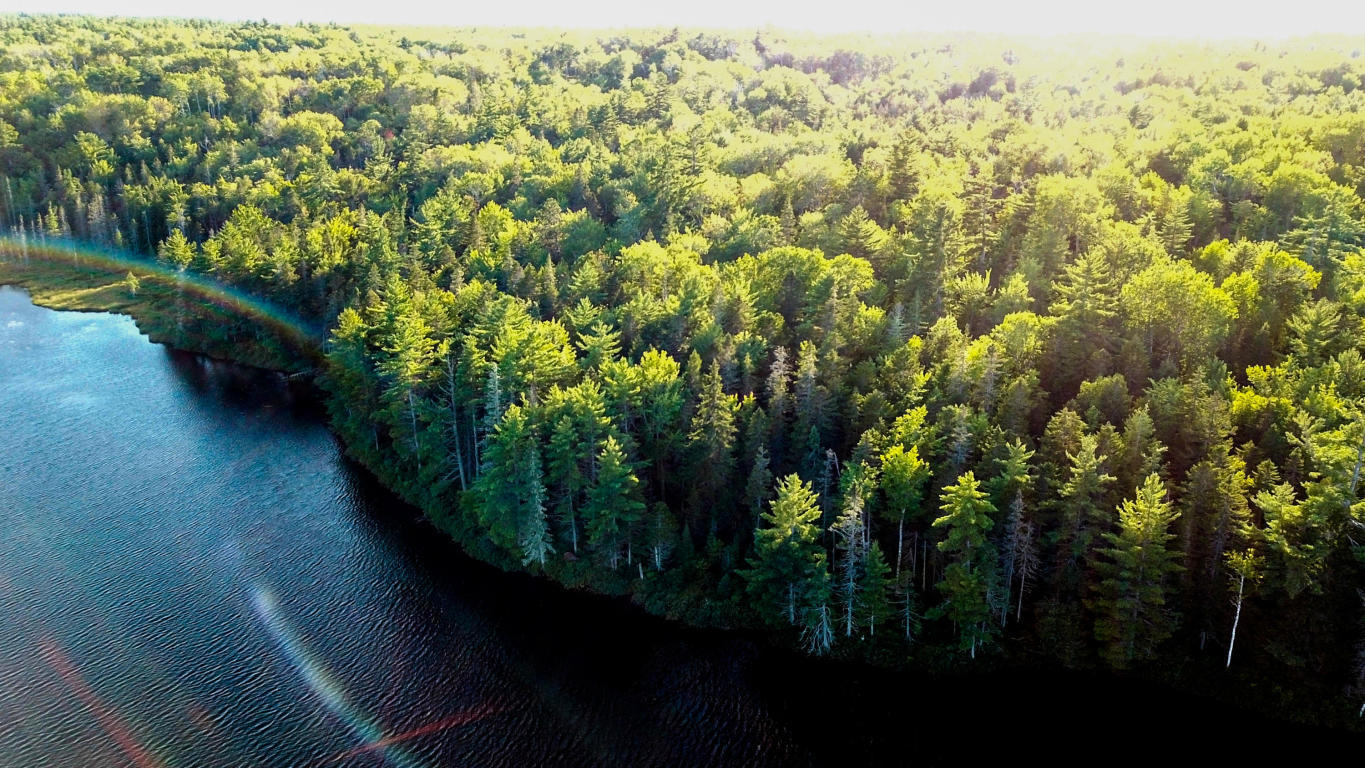 Lot 714 Ryder Road Wesley, ME 04686 - Photo 6 of 35 450 Feet