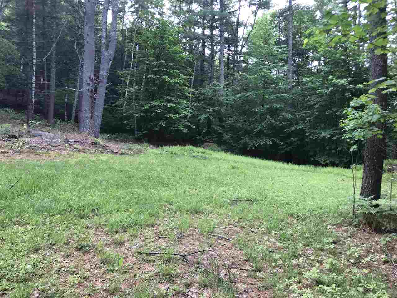 0 Eddy Road Newfane, VT 05345 - Photo 1 of 6