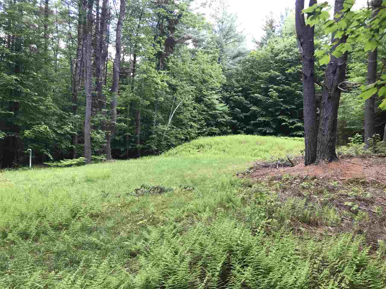 0 Eddy Road Newfane, VT 05345 - Photo 2 of 6