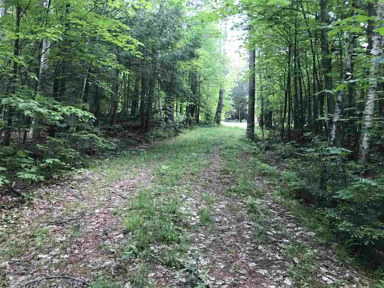 0 Eddy Road Newfane, VT 05345 - Photo 3 of 6