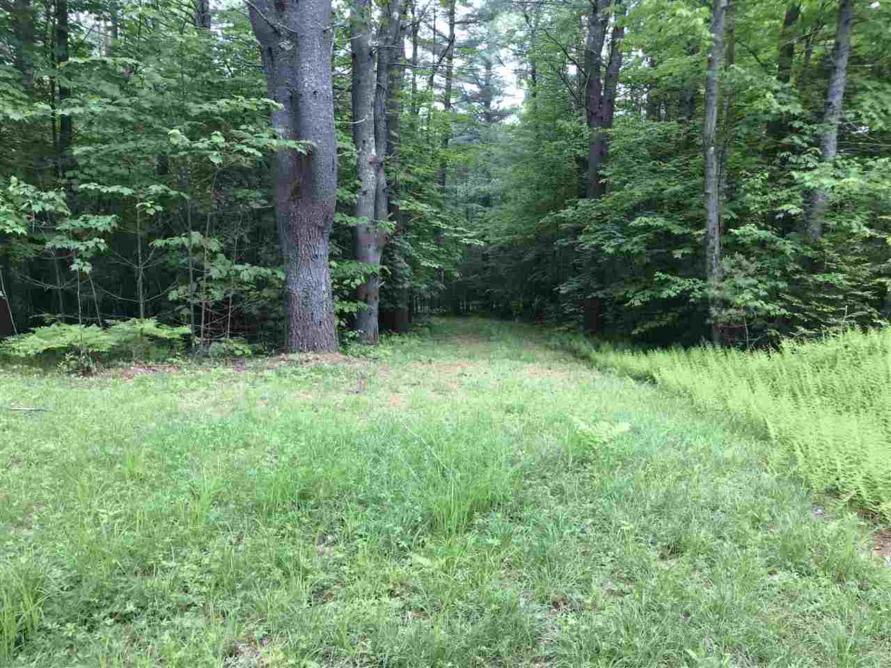 0 Eddy Road Newfane, VT 05345 - Photo 5 of 6