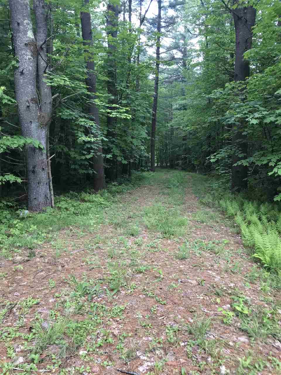 0 Eddy Road Newfane, VT 05345 - Photo 6 of 6
