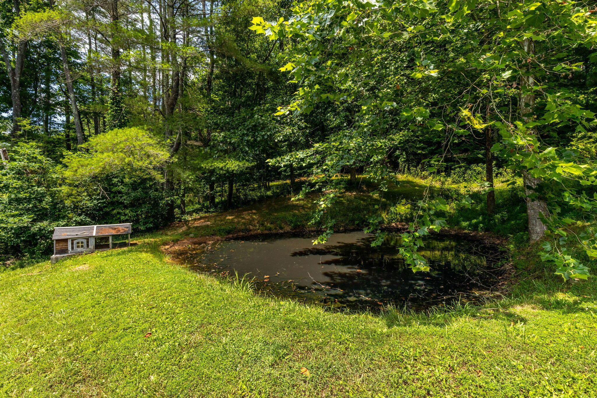34796 Geiger Road Logan, OH 43138 - Photo 48 of 50 Pond on Lot