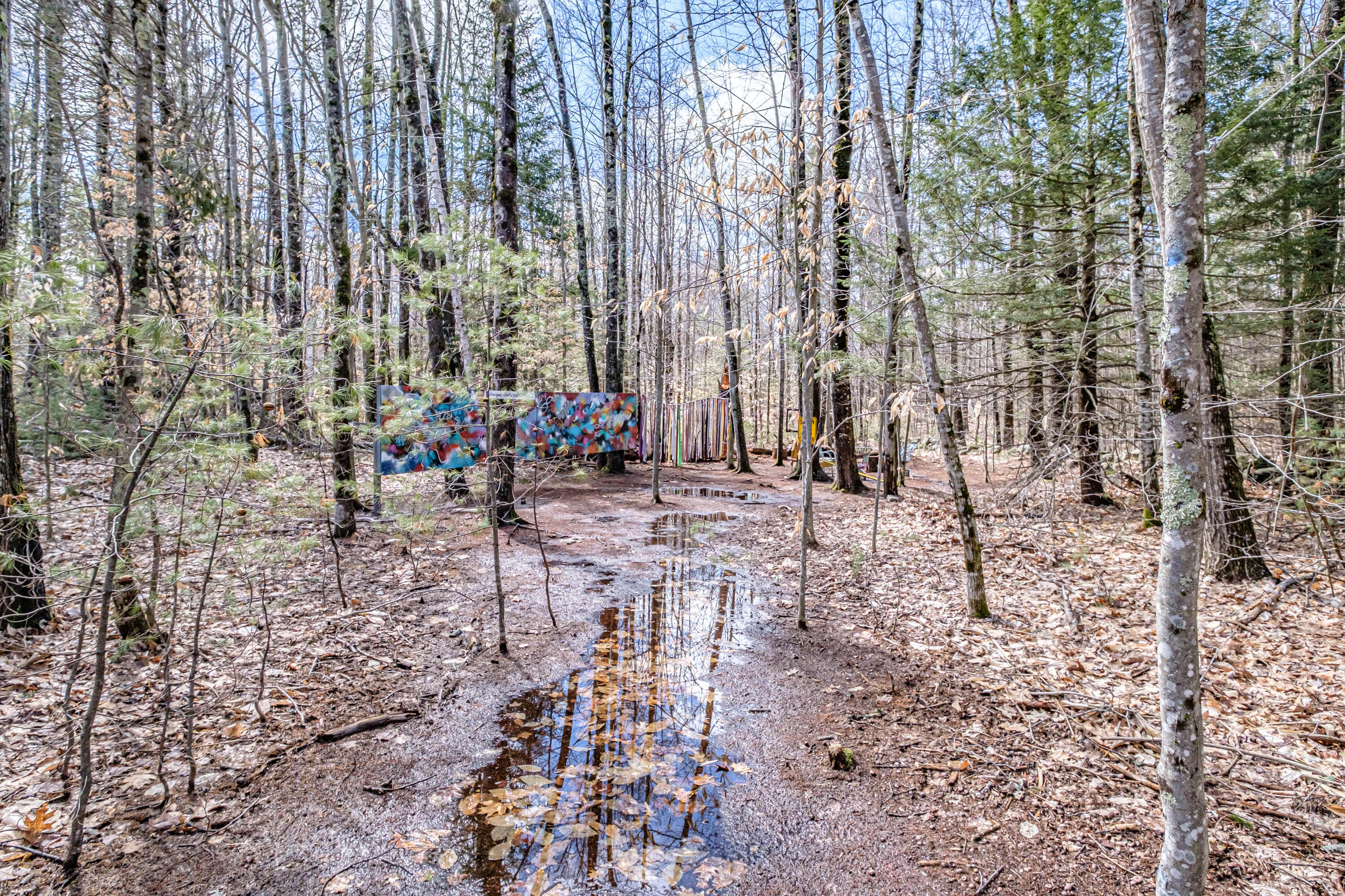 90 Deering Ridge Road East Waterboro, ME 04030 - Photo 59 of 72 20220325gp-60084