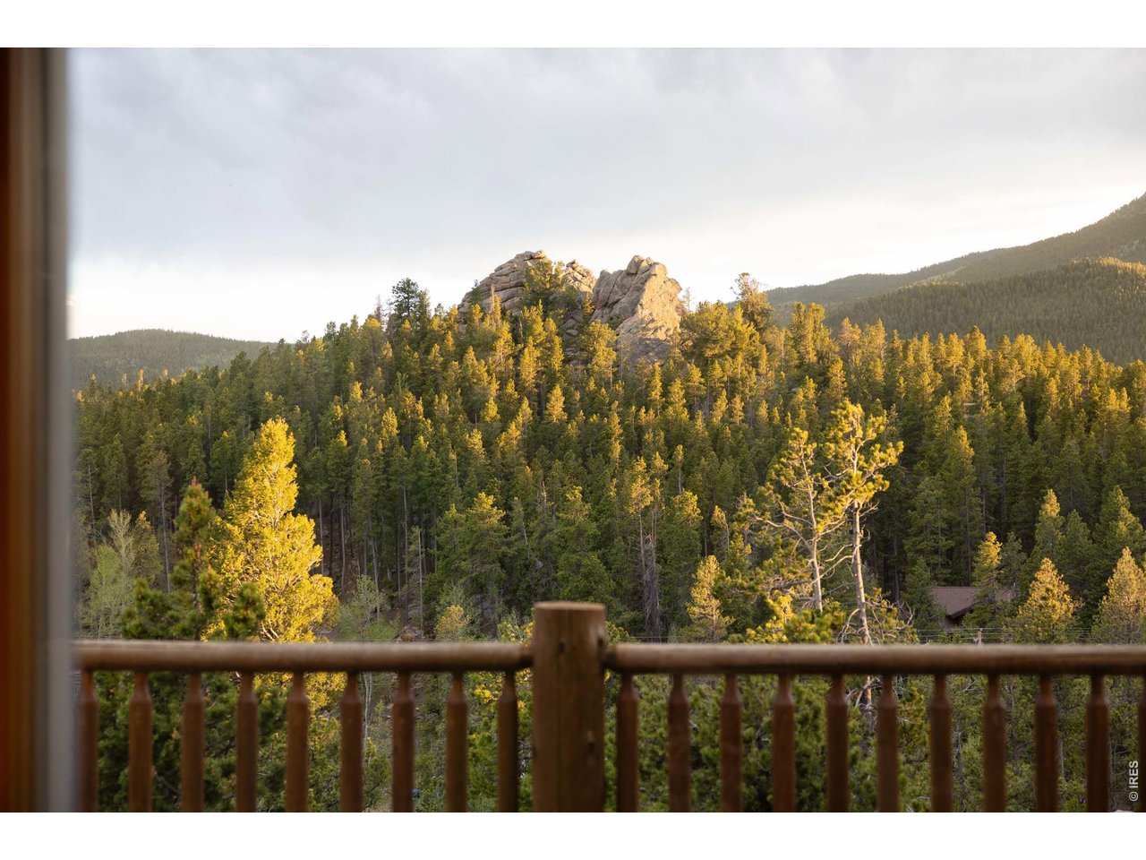 1028 Rudi Lane Golden, CO 80403 - Photo 10 of 46 a view of a forest
