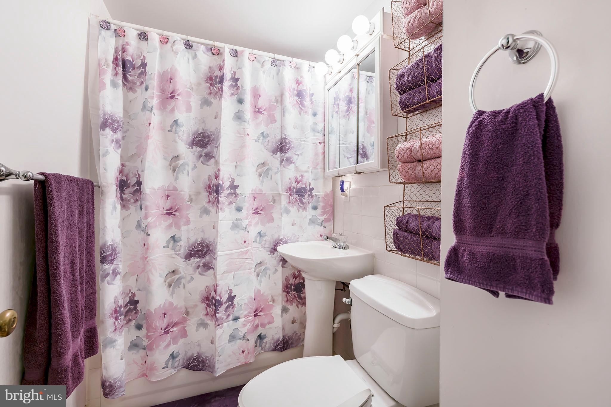 121 Old Mill Road Ephrata, PA 17522 - Photo 18 of 37 Master Bathroom