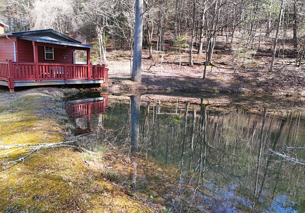 465 Faith Acres Road Blairsville, GA 30512 - Photo 40 of 45 Gallery Image 40