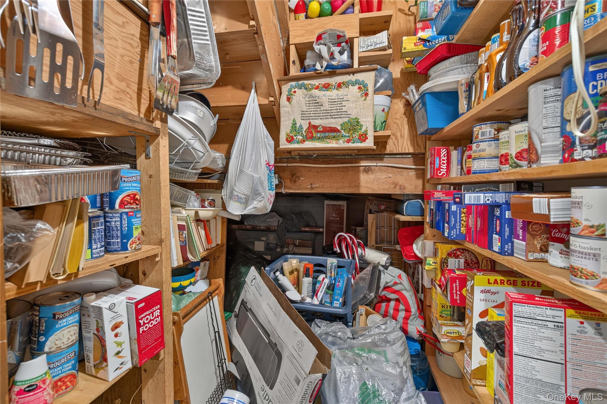 23 Alden Road Monroe, NY 10950 - Photo 34 of 43 Pantry under the stairs. Plenty of extra storage space.