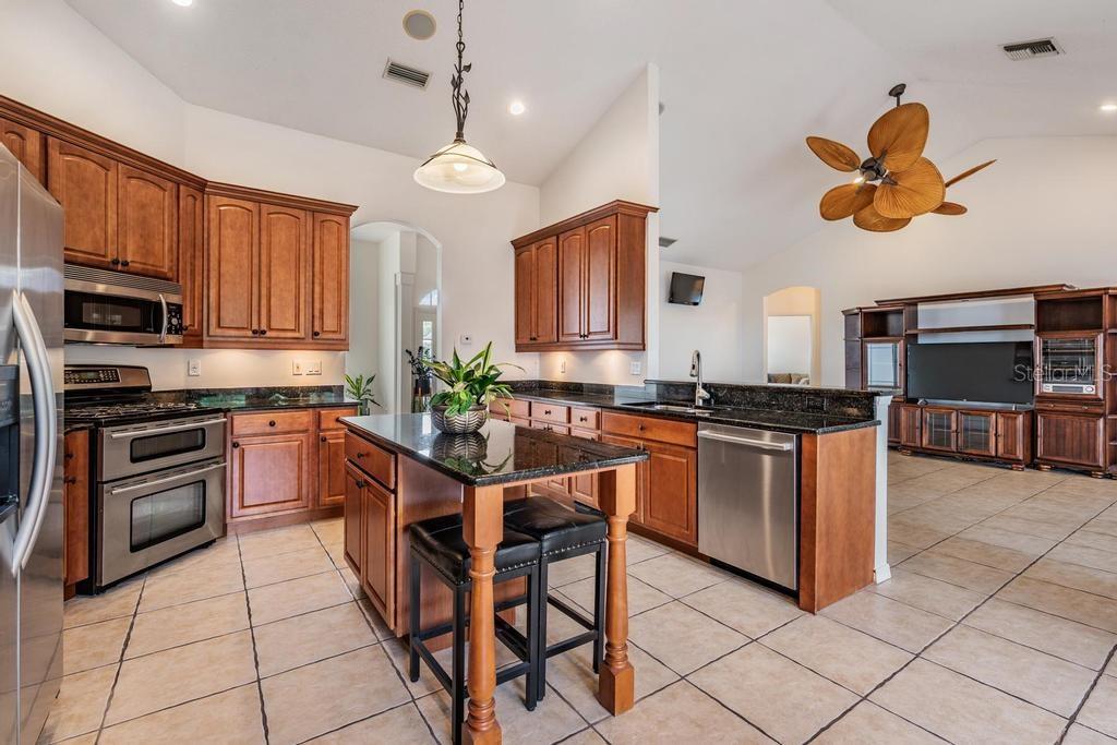 22519 Southshore Drive Land O' Lakes, FL 34639 - Photo 25 of 62 Gallery Image 25