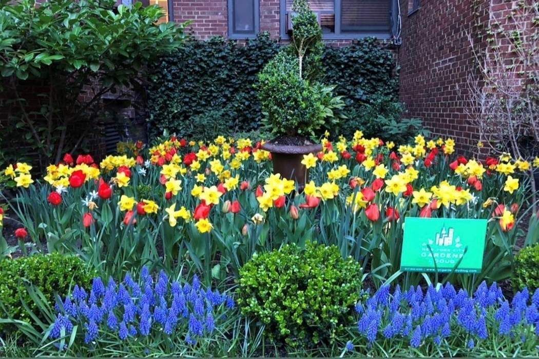 225 East 74th Street, Unit 2M Manhattan, NY 10021 - Photo 12 of 16 a picture of flowers