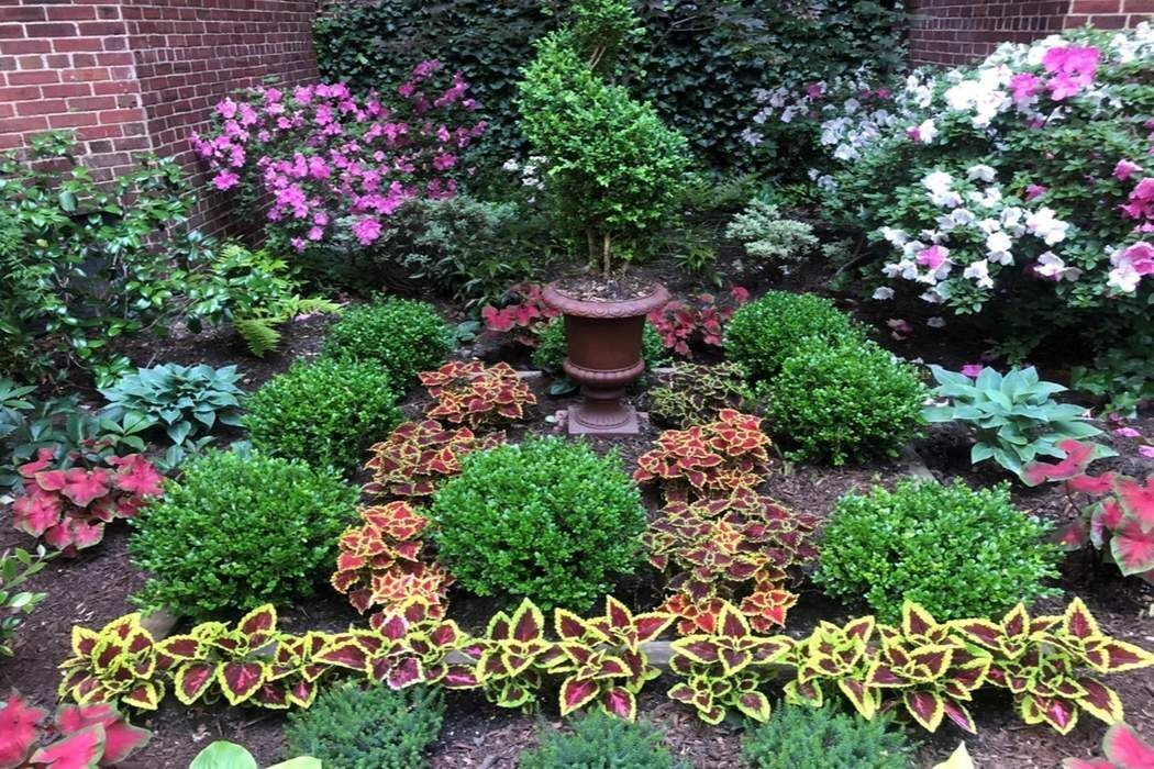 225 East 74th Street, Unit 2M Manhattan, NY 10021 - Photo 13 of 16 a bunch of flowers are in a garden