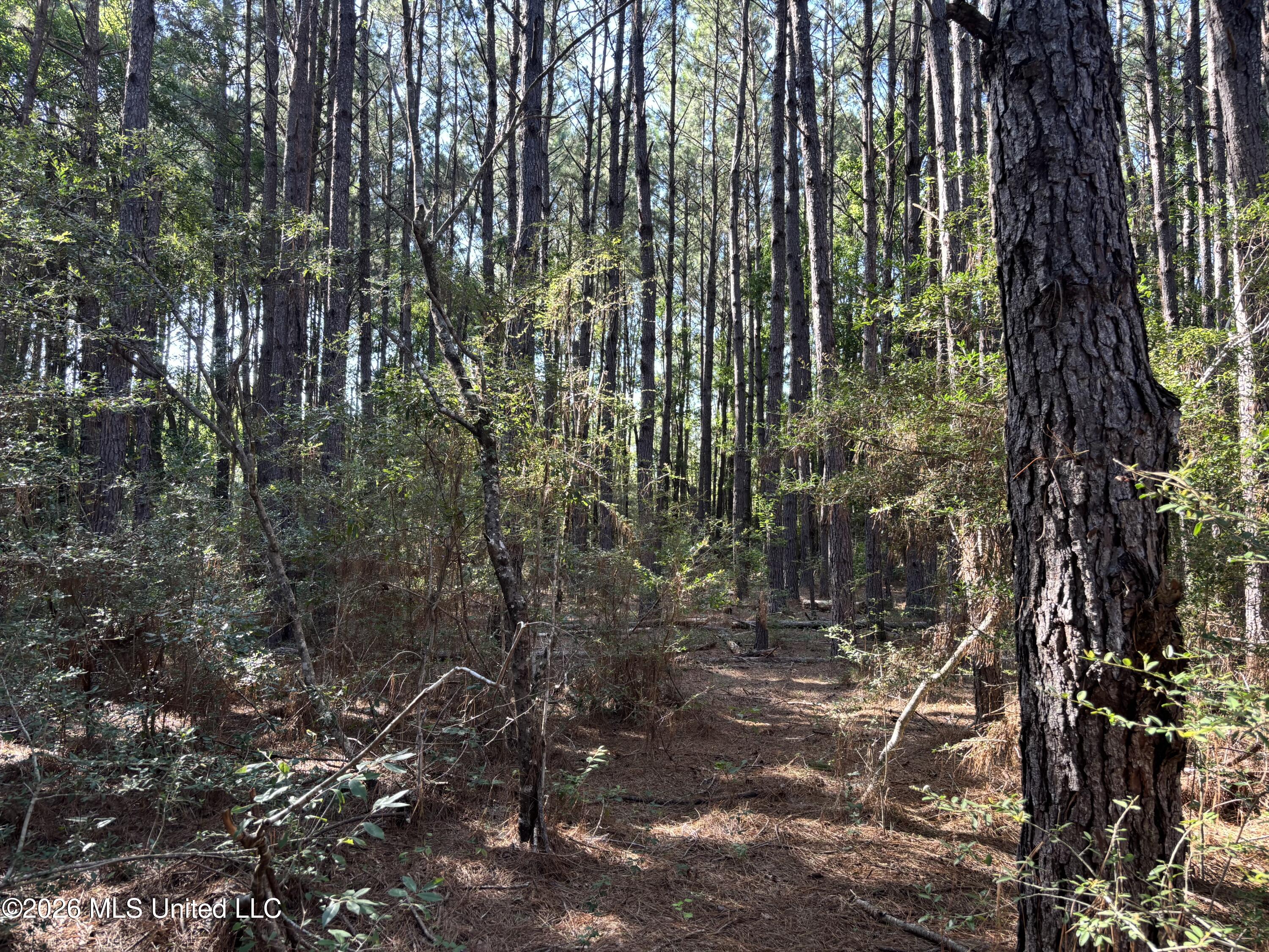 Clark Lane Gulfport, MS 39503 - Photo 13 of 26 IMG_2198