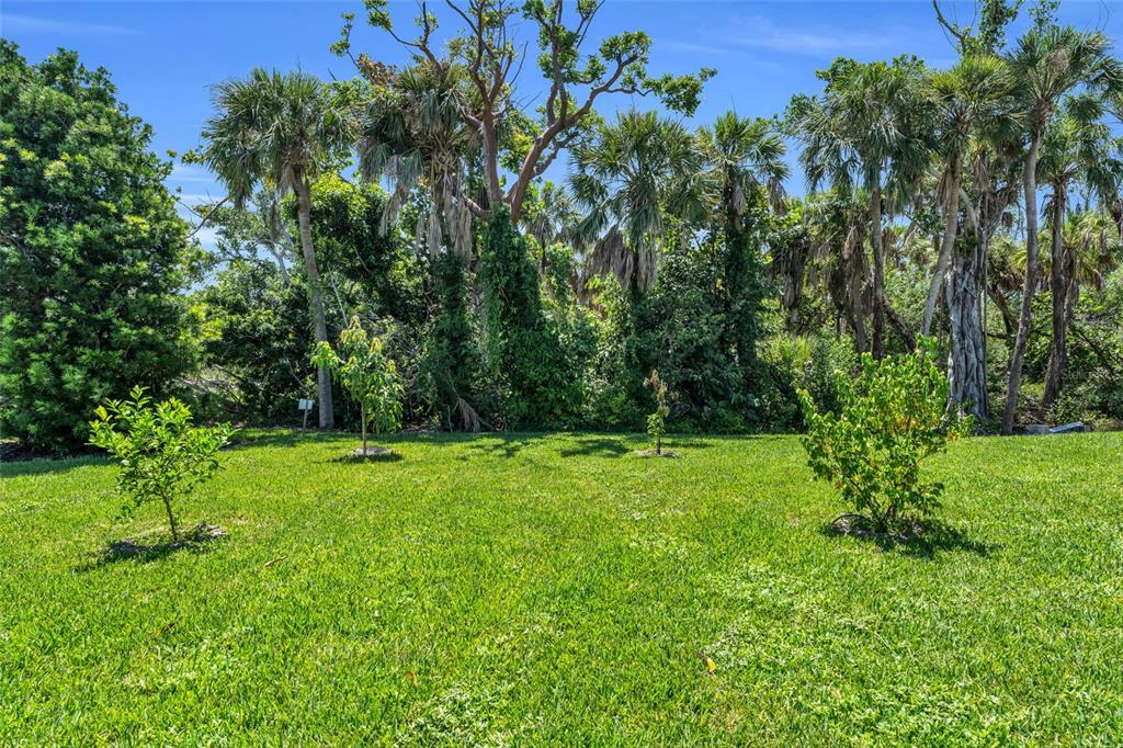 4636 Buck Key Road Sanibel, FL 33957 - Photo 4 of 43