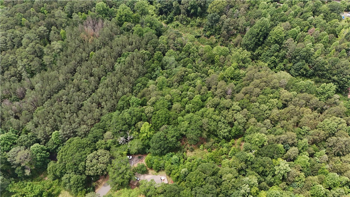 130 Hawthorne Street Clemson, SC 29631 - Photo 12 of 12