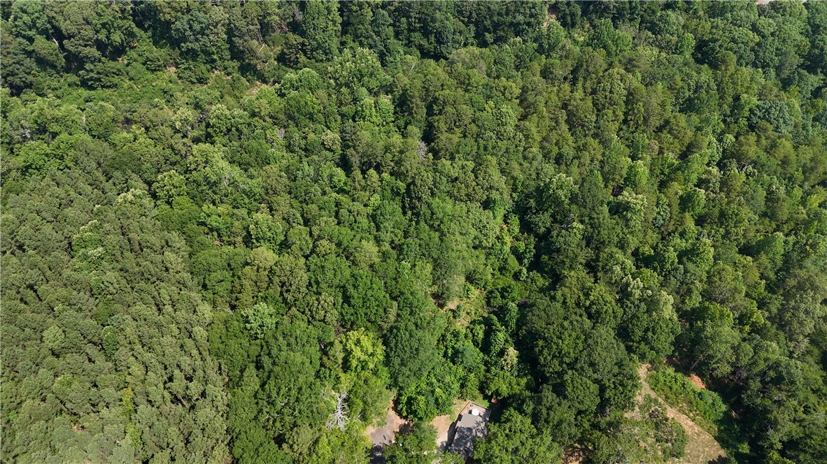 130 Hawthorne Street Clemson, SC 29631 - Photo 6 of 12