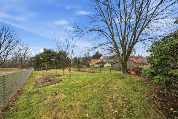 a view of yard with tree