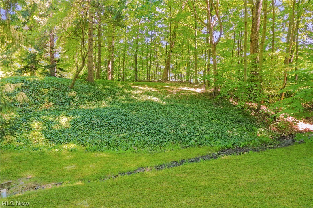 11280 Walnut Ridge Road Chesterland, OH 44026 - Photo 33 of 35 Gallery Image 33