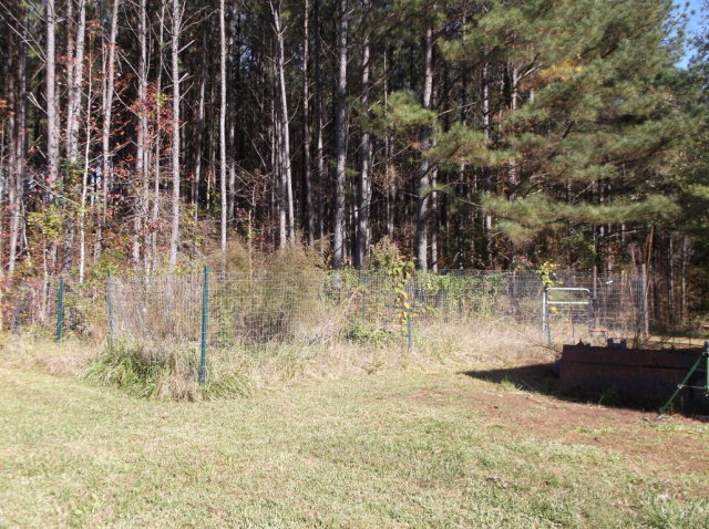 5130 Fortune Hole Road East Hamilton, GA 31811 - Photo 28 of 34 Gallery Image 28