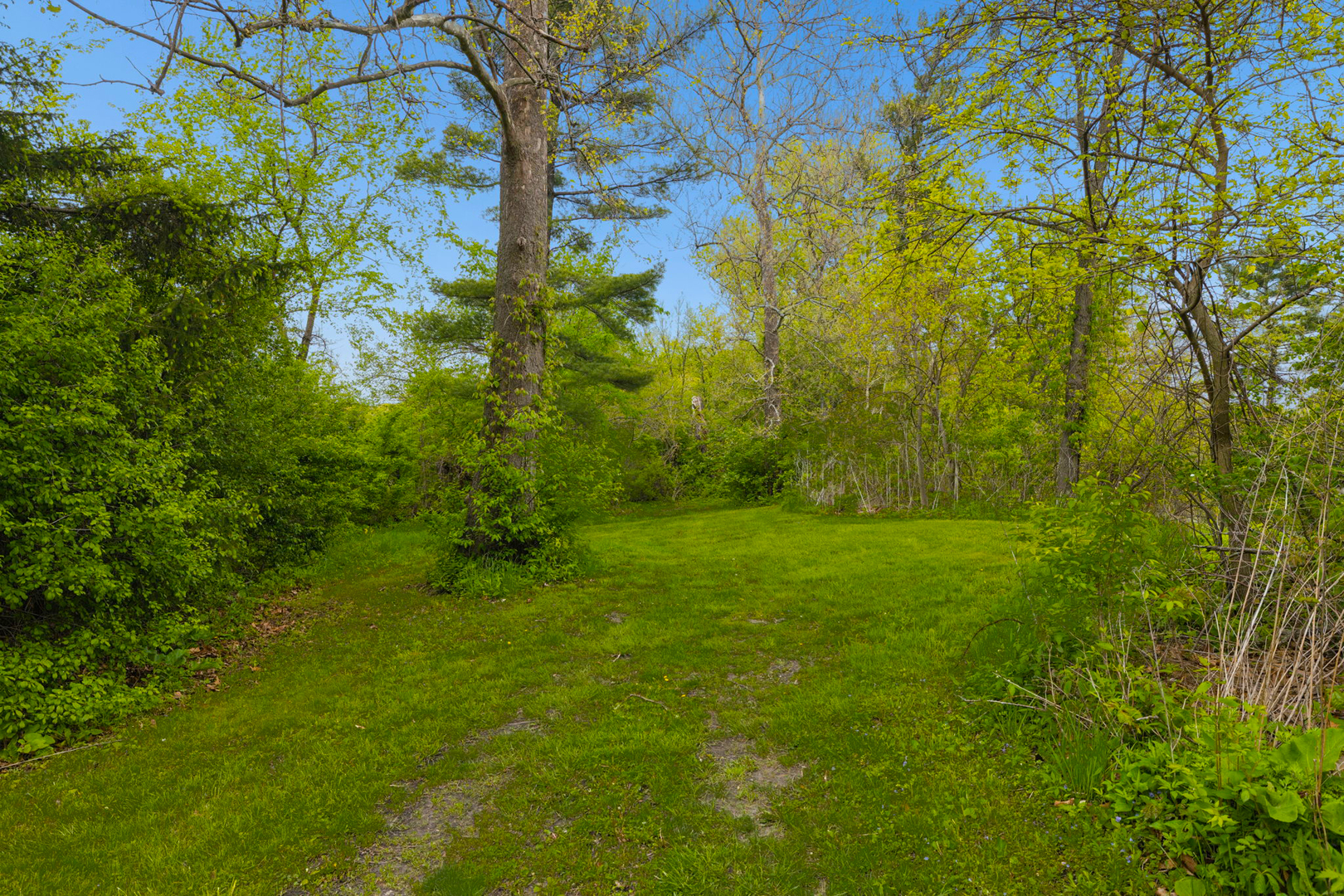 931 East Steger Road Steger, IL 60475 - Photo 12 of 53