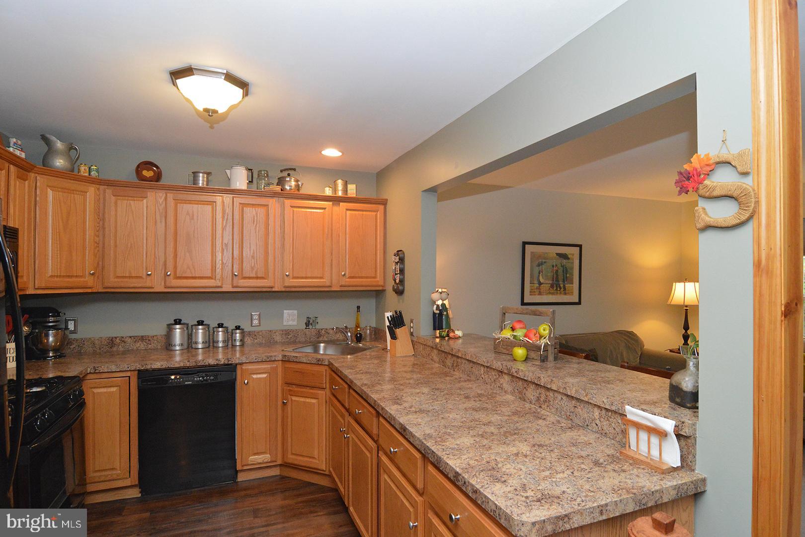 705 Caramist Circle Sinking Spring, PA 19608 - Photo 14 of 54 a kitchen with stainless steel appliances granite countertop a sink stove and cabinets
