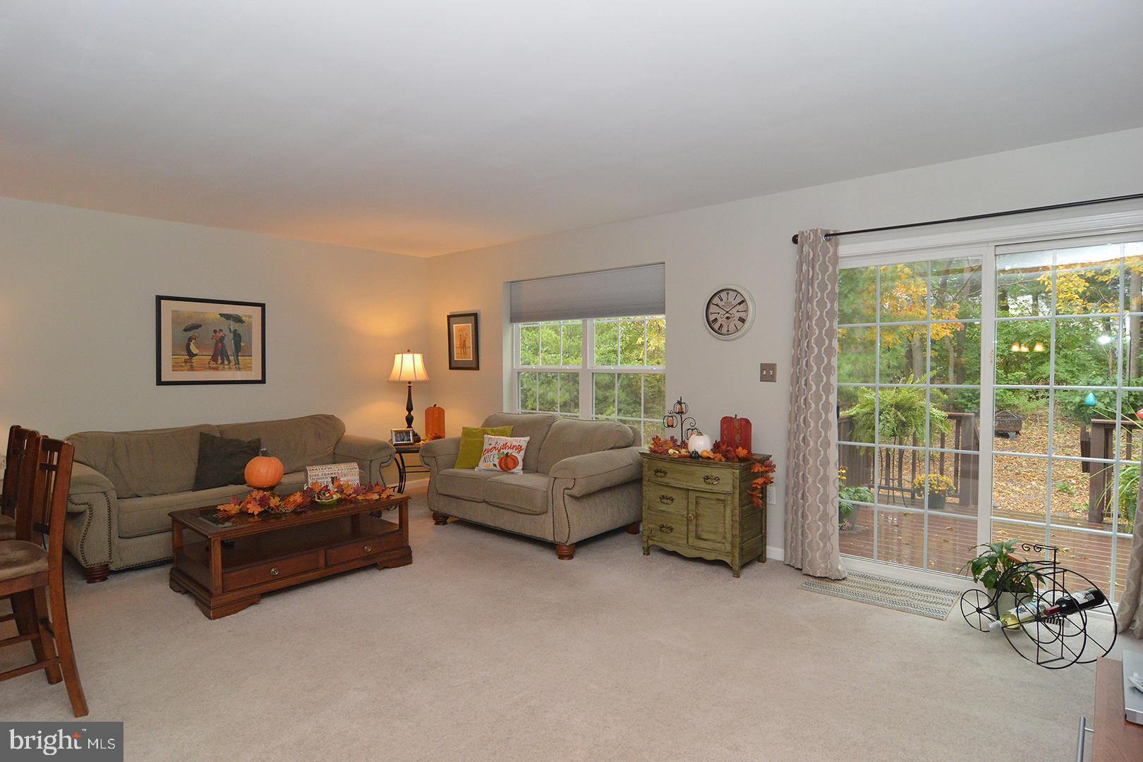705 Caramist Circle Sinking Spring, PA 19608 - Photo 19 of 54 a living room with furniture and a window