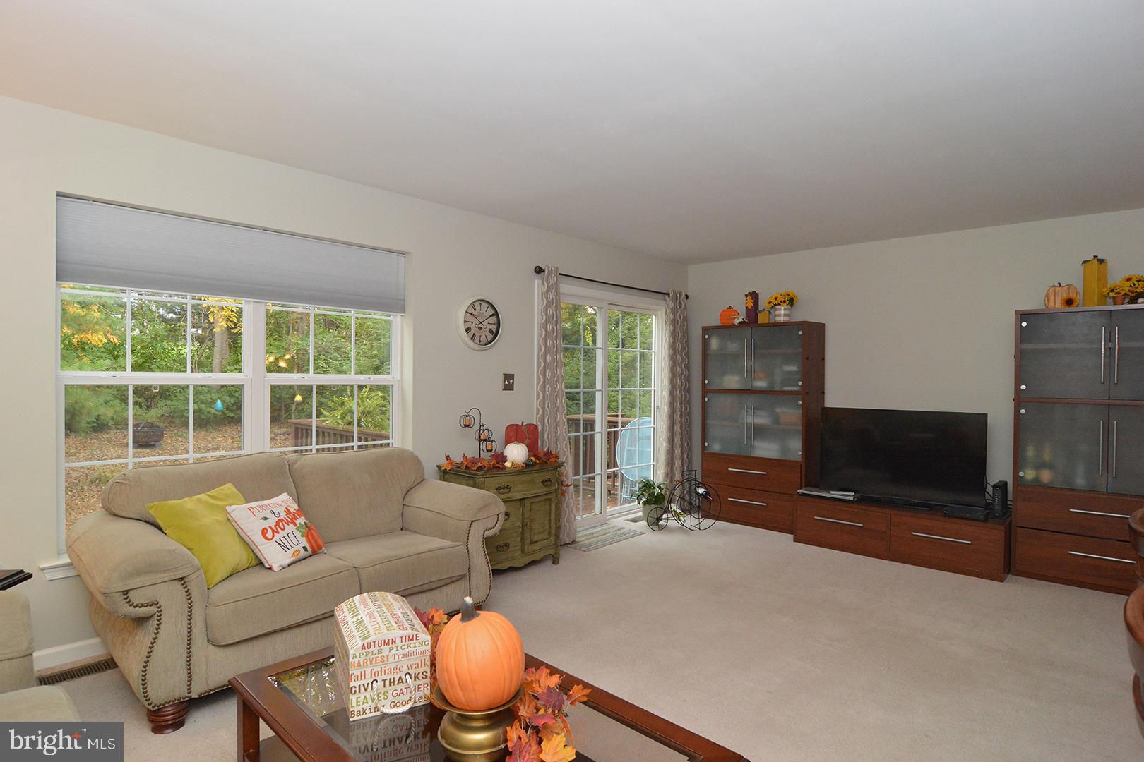 705 Caramist Circle Sinking Spring, PA 19608 - Photo 21 of 54 a living room with furniture a ceiling fan and a window