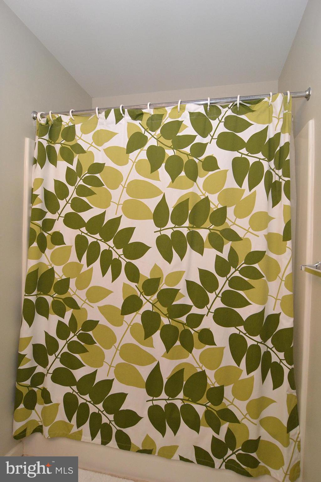 705 Caramist Circle Sinking Spring, PA 19608 - Photo 38 of 54 a bathroom with a shower curtain