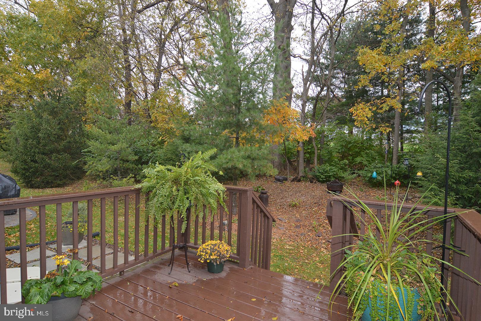 705 Caramist Circle Sinking Spring, PA 19608 - Photo 52 of 54