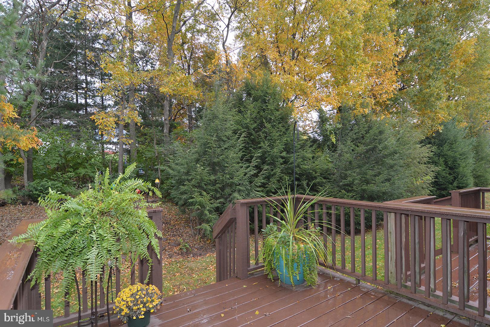 705 Caramist Circle Sinking Spring, PA 19608 - Photo 53 of 54 a view of a wooden bridge