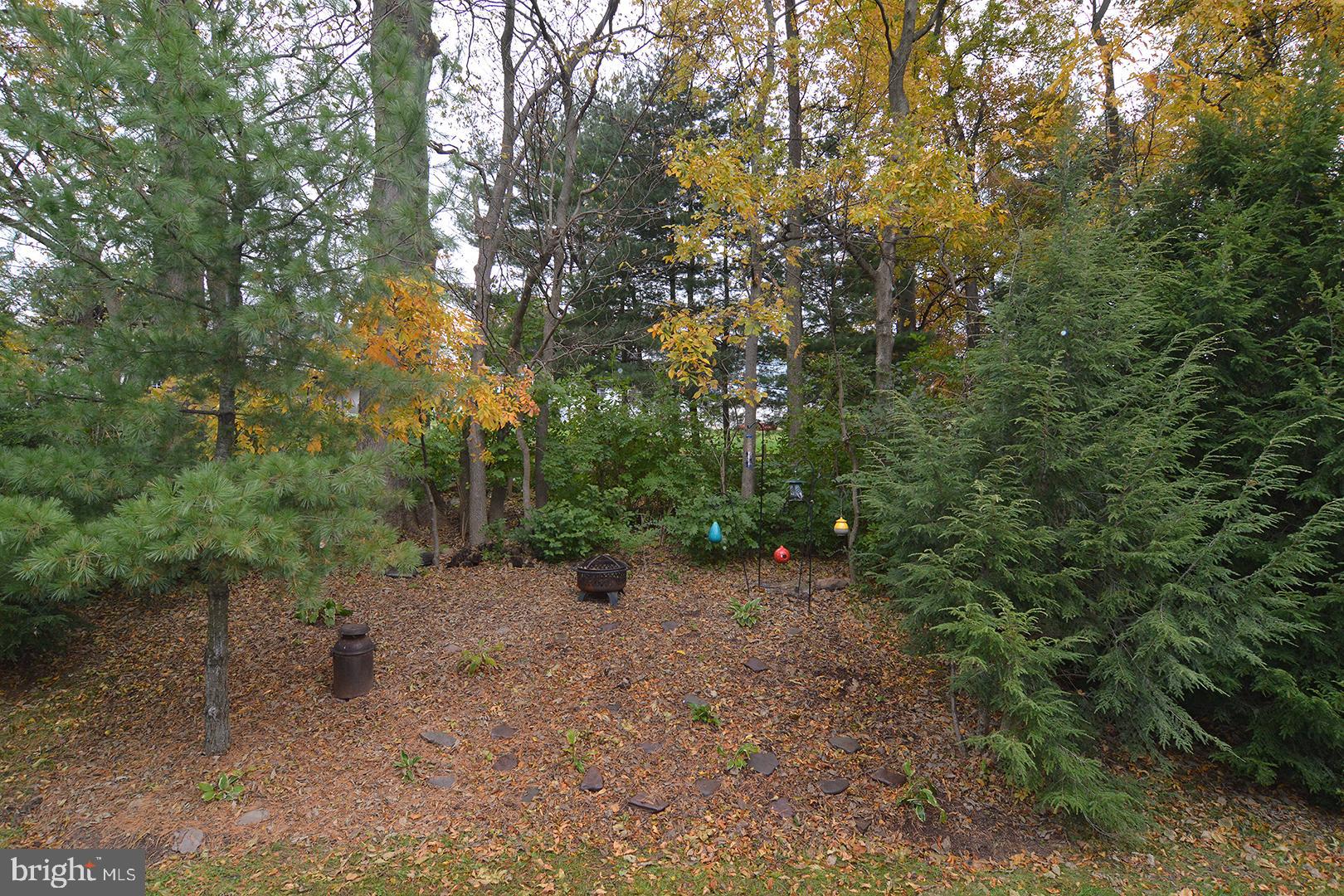 705 Caramist Circle Sinking Spring, PA 19608 - Photo 54 of 54 a view of a forest with trees in the background
